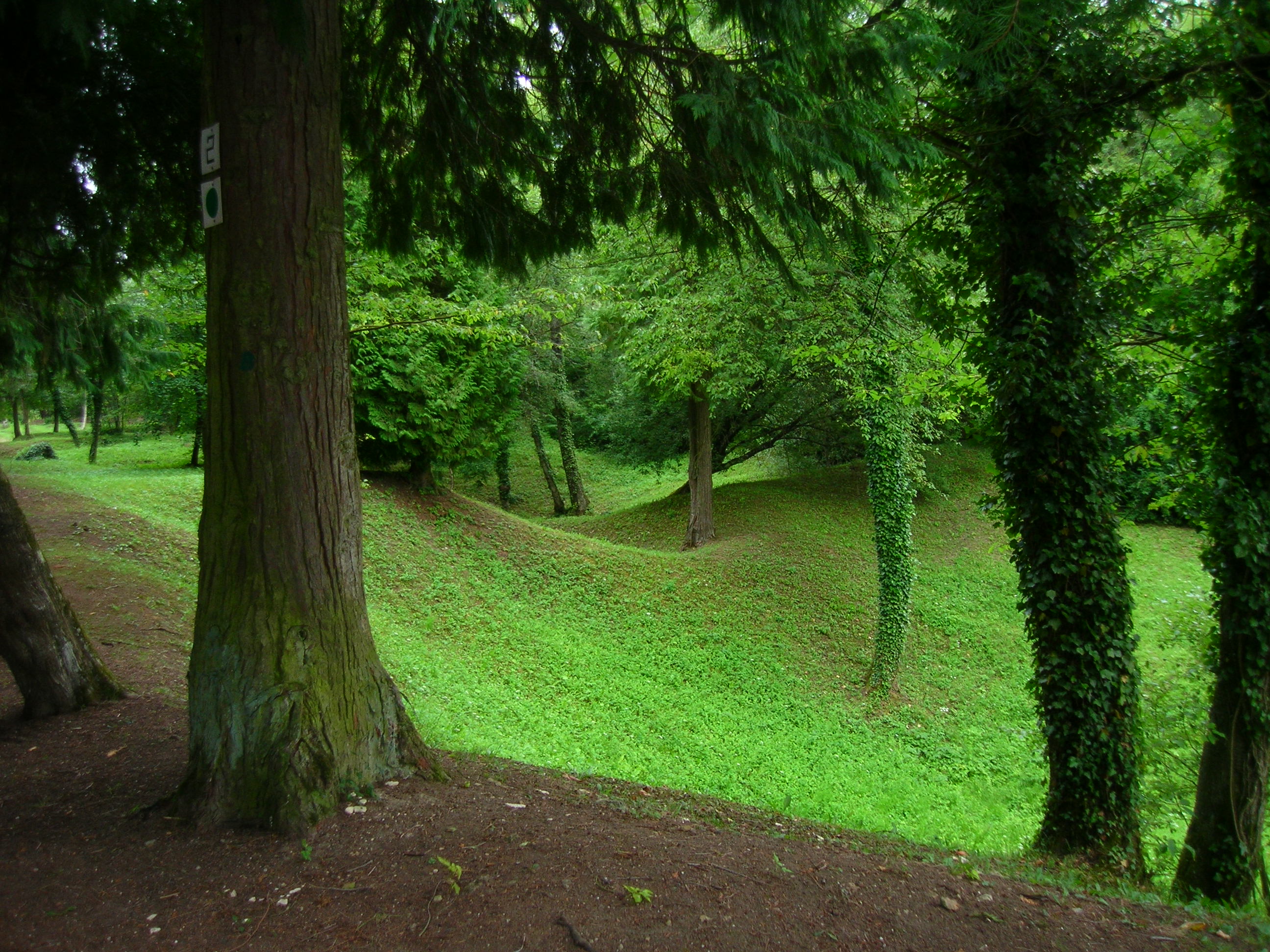 Slide 3